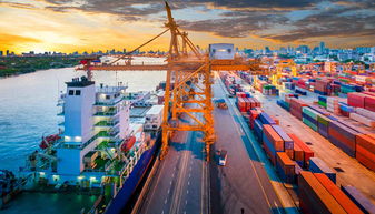 擴(kuò)大進(jìn)口 消費(fèi)市場(chǎng)添利好