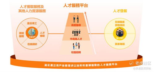 獵聘上半年高速增長(zhǎng),橫縱發(fā)展彰顯長(zhǎng)期空間