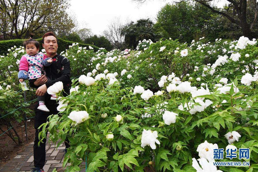 柳宗元：孤寂一生落寞文人