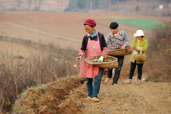 世界最大高端幕墻生產基地落戶濟南 濟南工業互聯網園區出爐