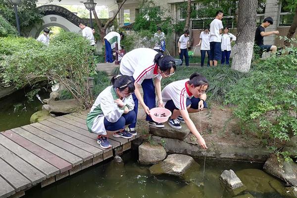 被稱為“洗腸草”，現(xiàn)在吃它正合適，益肝又健胃