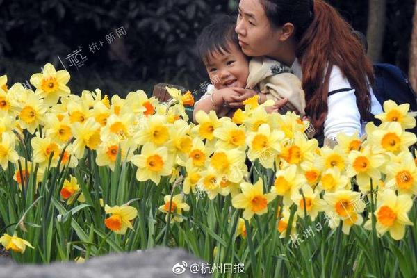 武林高手都是怎樣識別殺氣的?