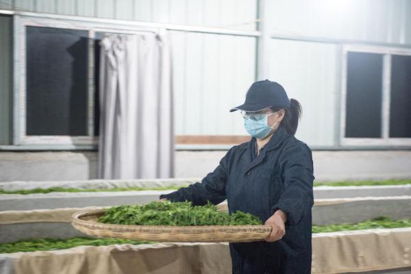 跨年度行情已拉開帷幕 細評電力設備三大公司