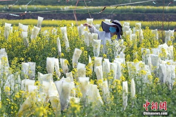 遠光軟件助襄城供電深化數據分析讓財務洞察前移