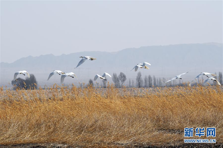 美兩導彈驅(qū)逐艦通過臺灣海峽 外交部回應(yīng)