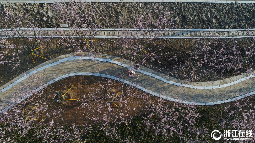 度電獲利2.23分！上半年廣東獨(dú)立售電公司收益頗豐