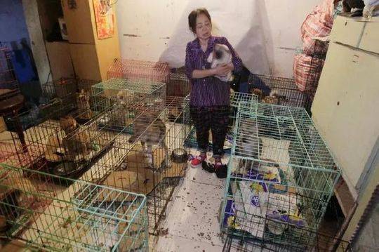 出清均價350.29元/兆瓦時！陜西省12月集中競價直接交易成交結果出爐