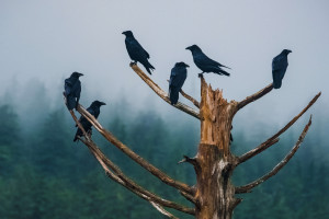 當無人替你負重前行時，你終歸要回到人生的正軌