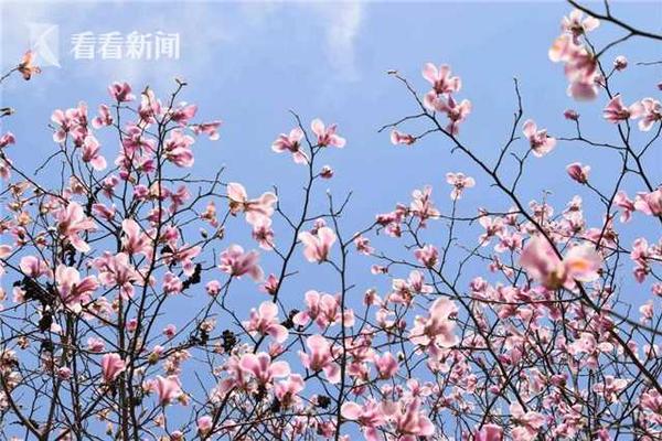 一個杭州的外賣小哥6月份的收入支出