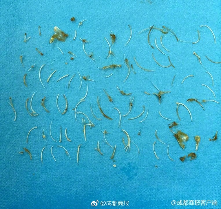 上海電信與上海東軟攜手共推智慧上海（圖）