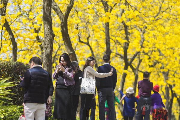 我還是讀書(shū)少了，辛棄疾這個(gè)男人好夸張啊