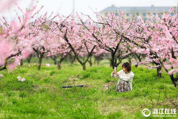 近300股跌停！滬指跌0.77％，創(chuàng)業(yè)板指暴跌2.55％