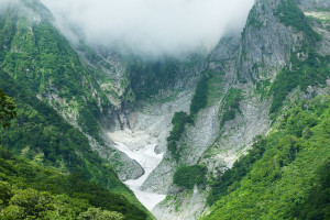 德力西電氣CDLE6智能漏電斷路器榮獲創新大獎