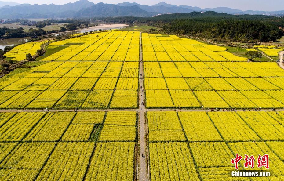 國家電網公布最新數據：1-4月減少用戶電費支出67億元
