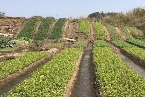 寶寶被噎住怎么辦?家長應(yīng)掌握