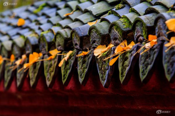 OpenAI的鬧劇，真的源于小題大做么？