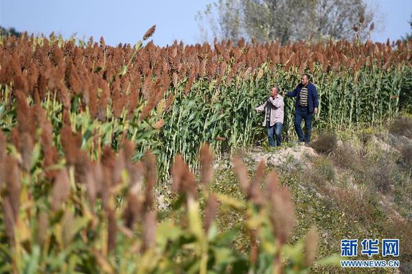 數字電網賦能山區綠色可靠用電