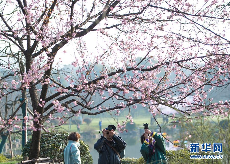 微語錄精選0821：我們談幾個億的生意都是喝奶茶