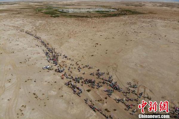 面向高比例可再生能源的電力市場研究綜述
