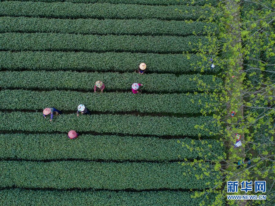 總部聚集區金融新高地創新最前沿 濟南CBD：全省金融高地強勢崛起