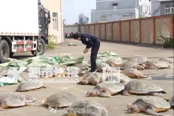 中國石化與國網智慧車聯網簽約！構建“油氣氫電服”產業新格局