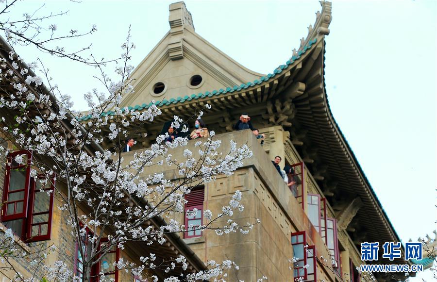 直播答題讓YY火了一把，但YY自己又錯過了一次風口……