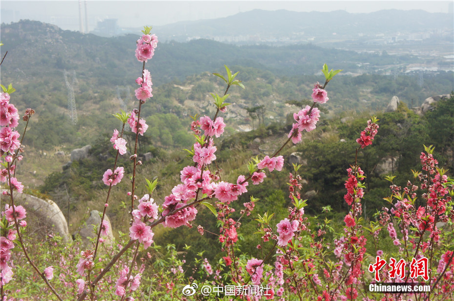 當無人替你負重前行時，你終歸要回到人生的正軌