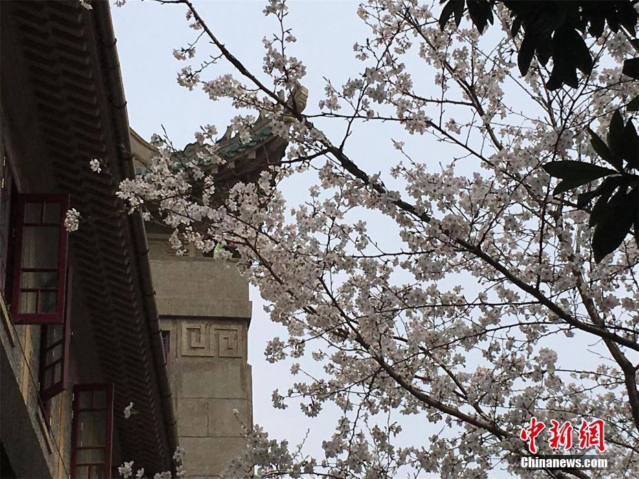 亞馬遜的人工智能監(jiān)工說，你不是世界首富貝佐斯的兄弟